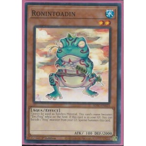 SDFC-EN023 Ronintoadin – Common